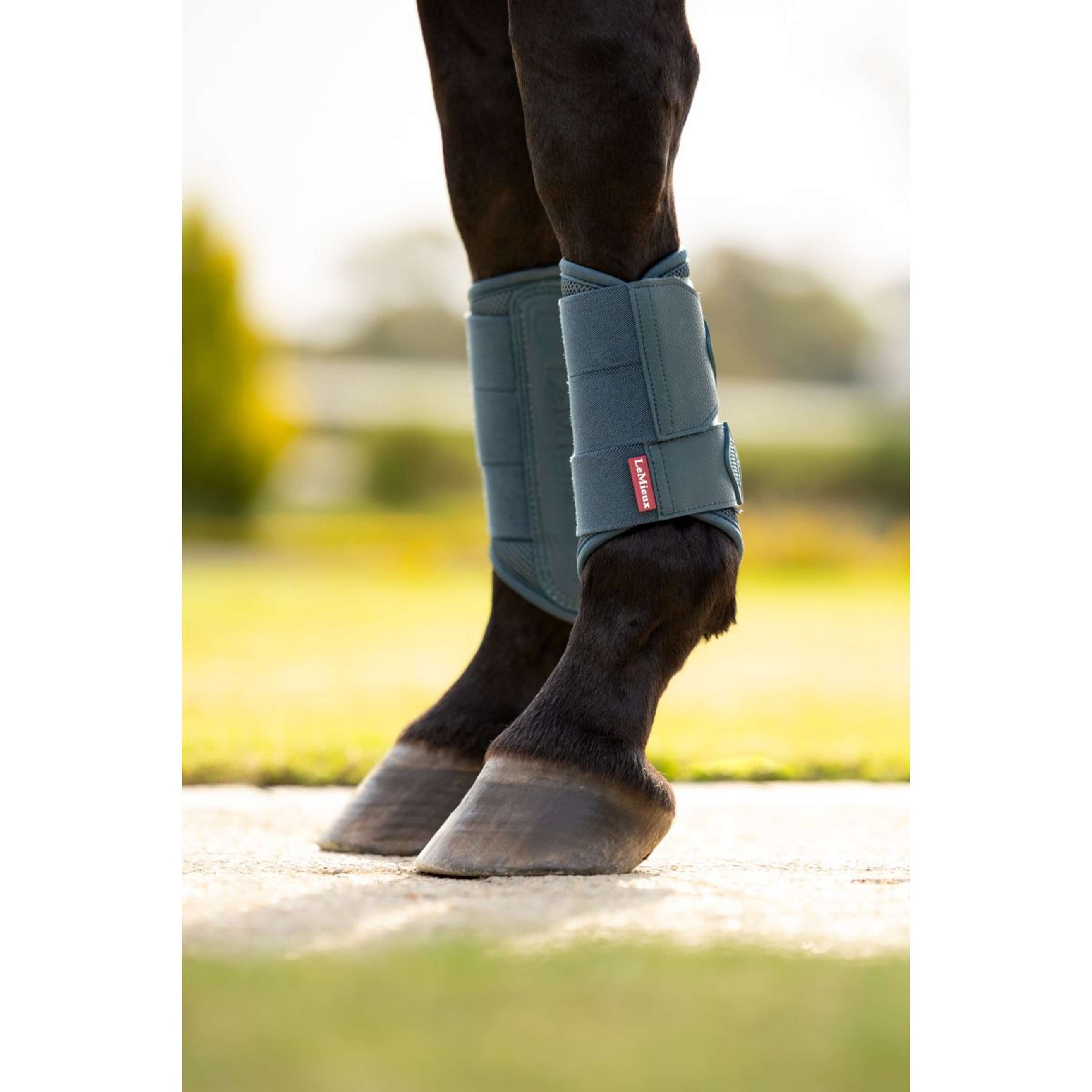 LeMieux Gamaschen Arika Mesh Jungle LeMieux Gamaschen Arika Mesh Jungle