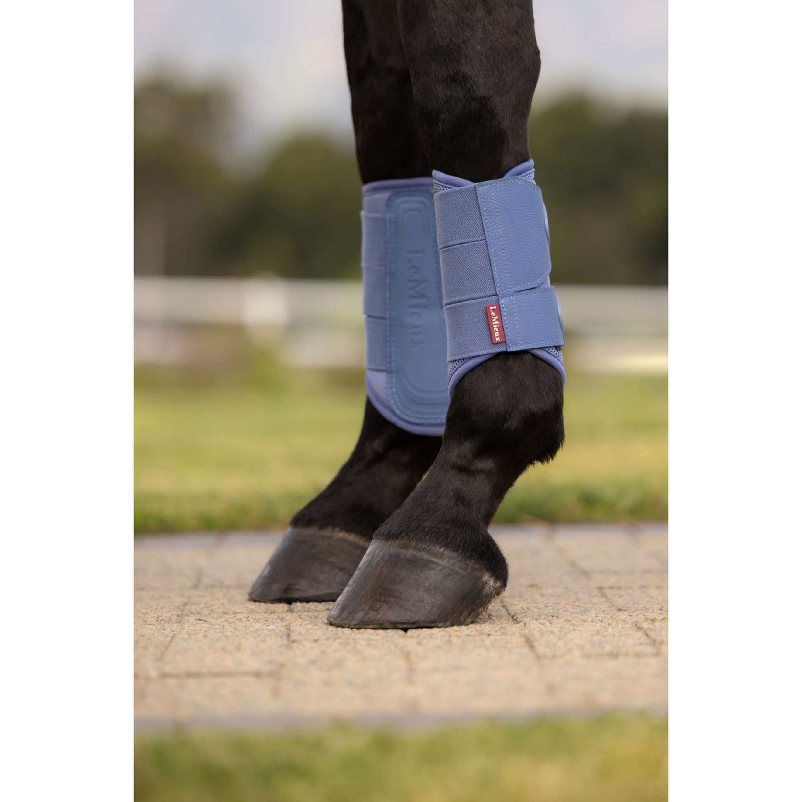 LeMieux Gamaschen Arika Mesh Powder Blue