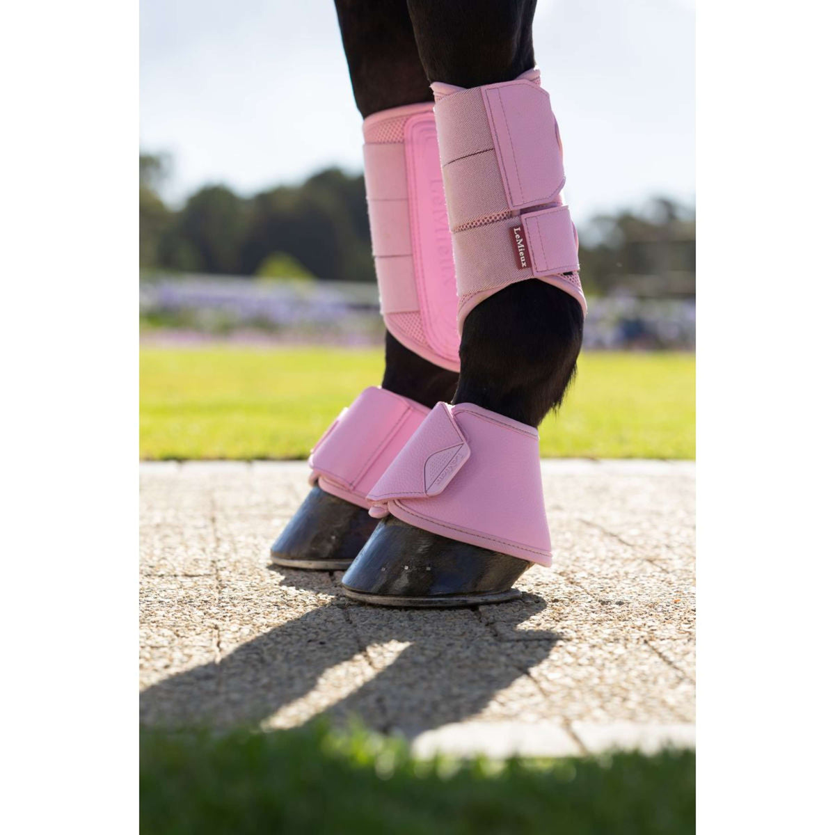 LeMieux Hufglocken Arika Fondant