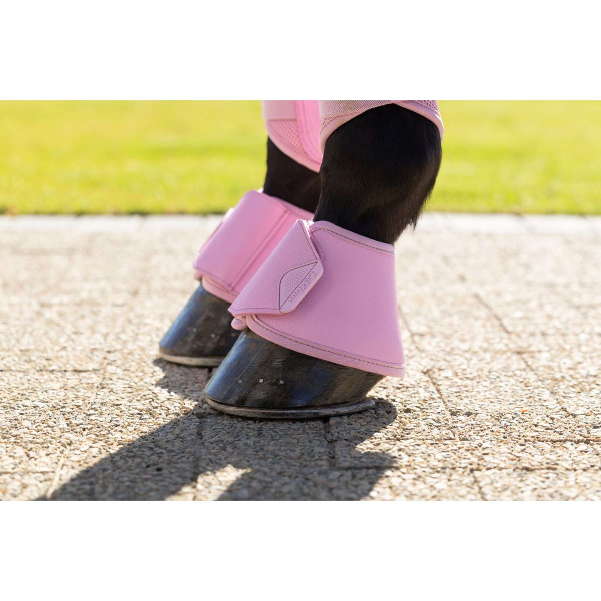 LeMieux Hufglocken Arika Fondant