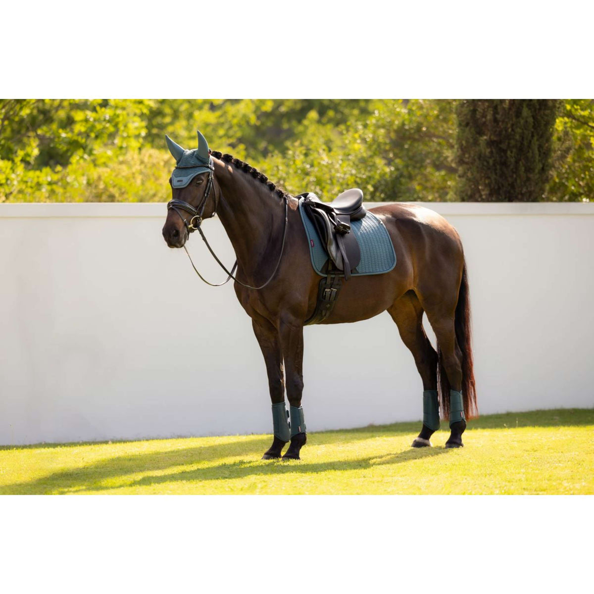 LeMieux Schabracke Essence Square Dressur Jungle