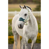 LeMieux Halfterset Mini Vogue Macaron