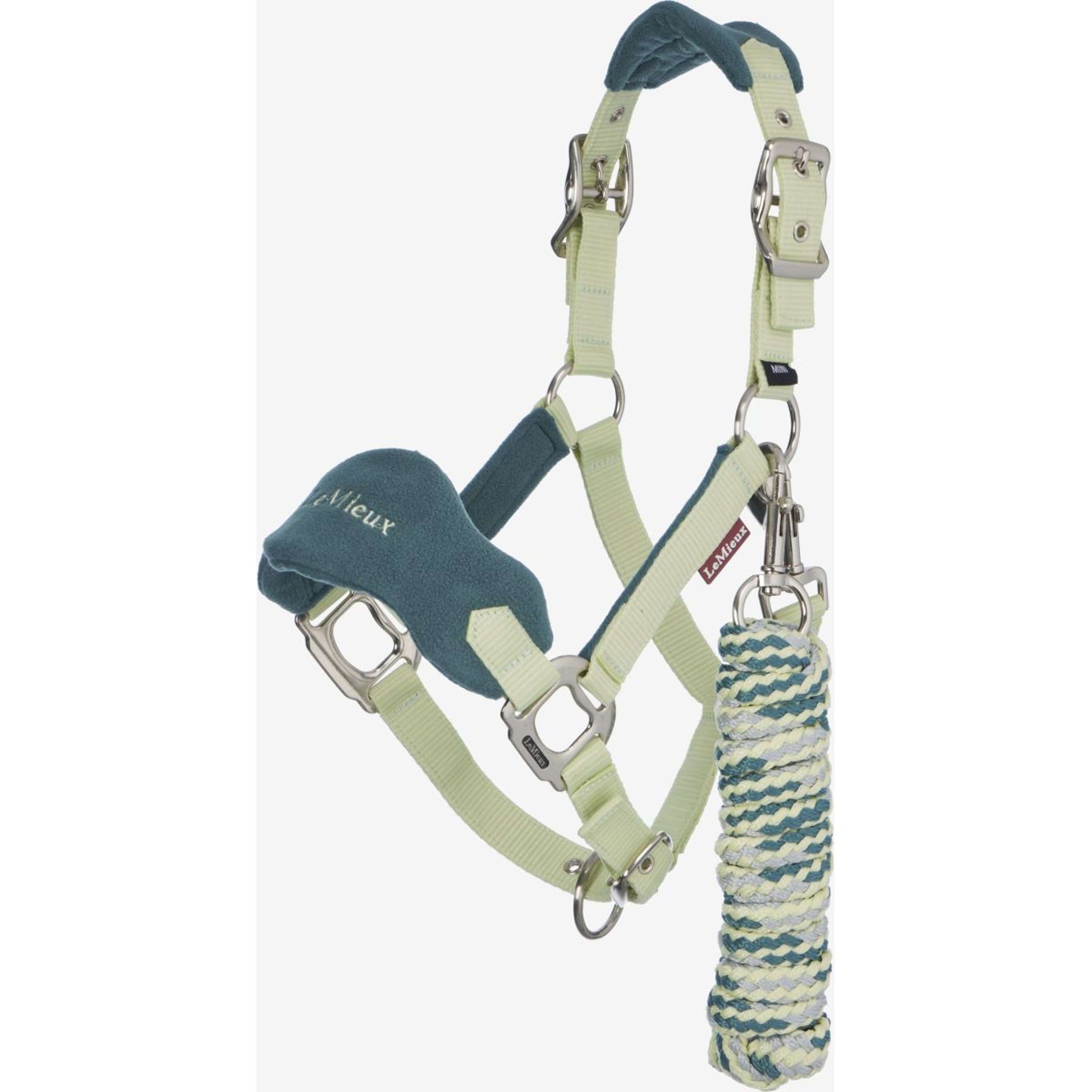 LeMieux Halfterset Mini Vogue Macaron