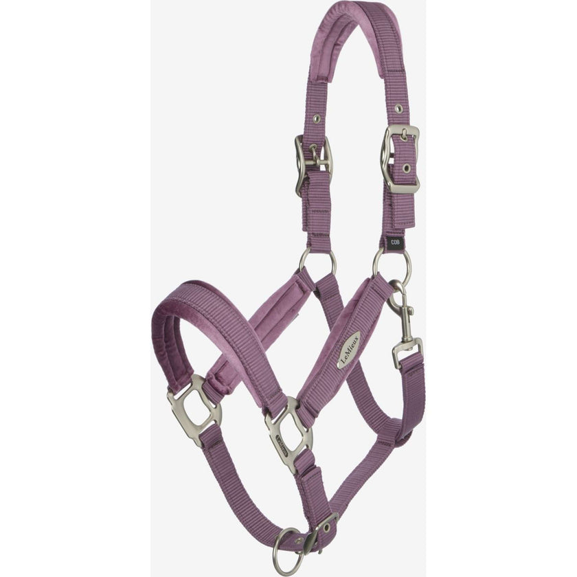 LeMieux Halfter Versailles Mallow LeMieux Halfter Versailles Mallow