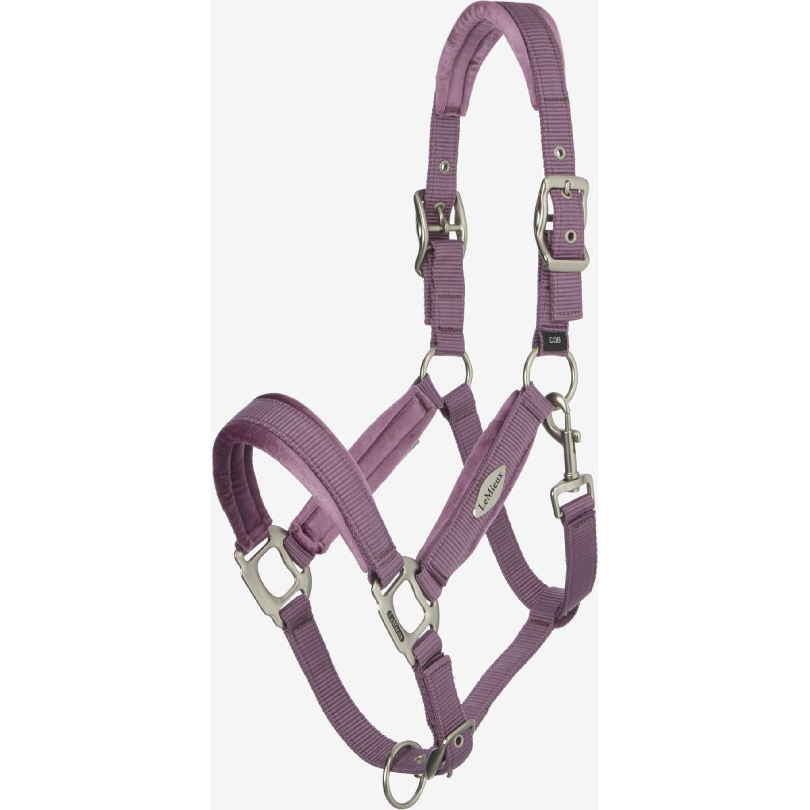 LeMieux Halfter Versailles Mallow