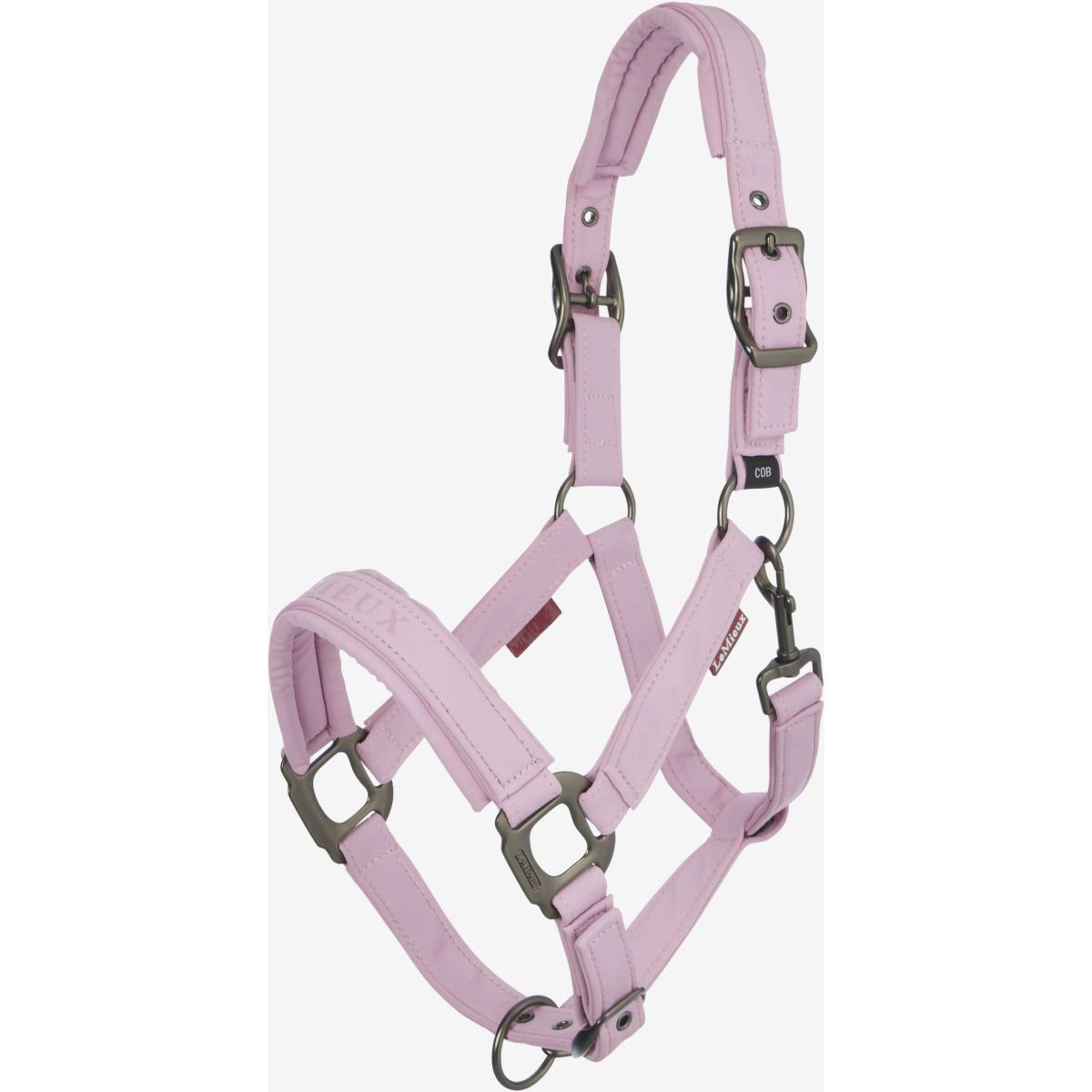 LeMieux Halfter Essence Fondant