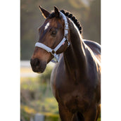 LeMieux Halfter Essence Powder Blue