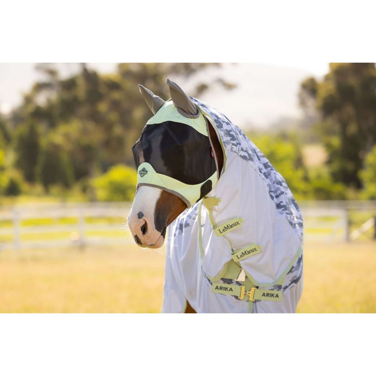 LeMieux Fliegenmaske Visor-Tek Macaron