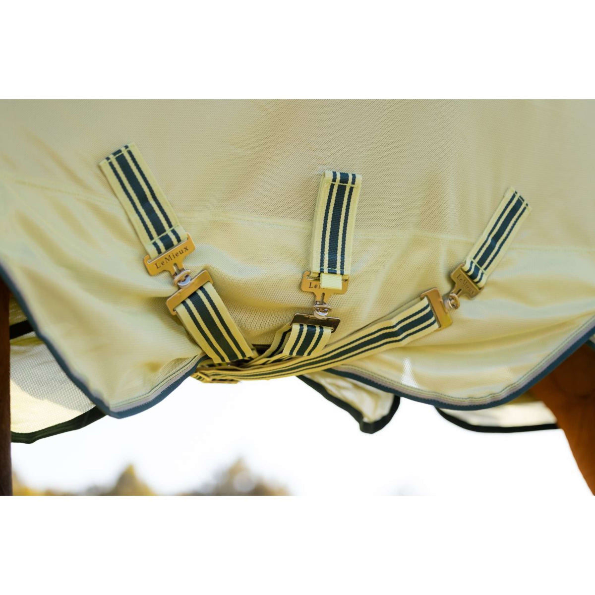 LeMieux Fliegendecke Arika Armour-Tek Abnehmbarer Hals Macaron