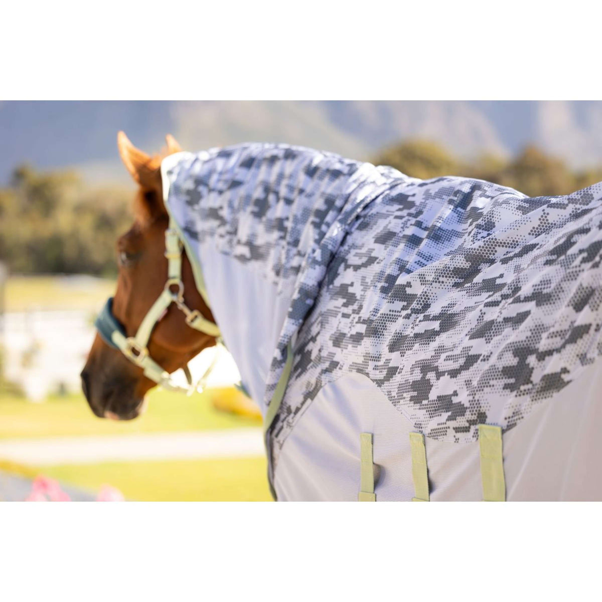LeMieux Fliegendecke Arika Camo-Tek mit Halsteil Macaron