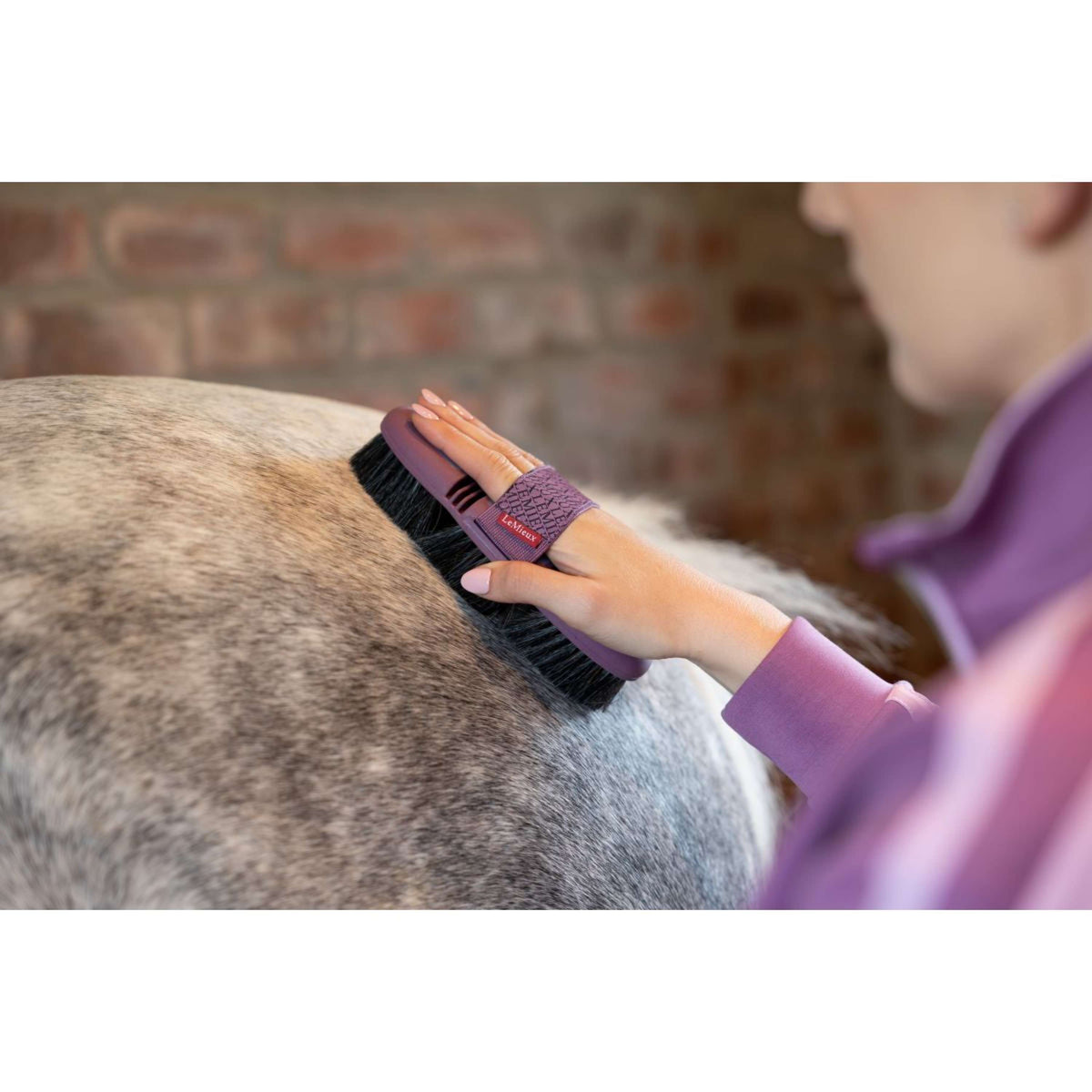 LeMieux Weiche Kardätsche Flexi Pferdehaar Powder Blue