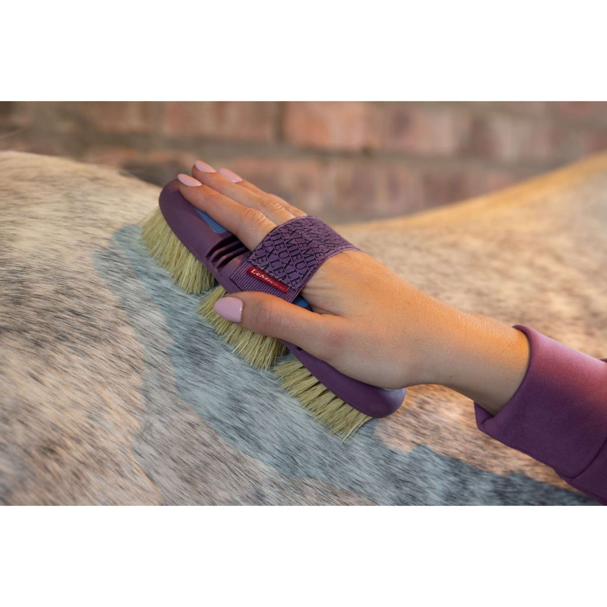 LeMieux Wurzelbürste Flexi Scrubbing Powder Blue