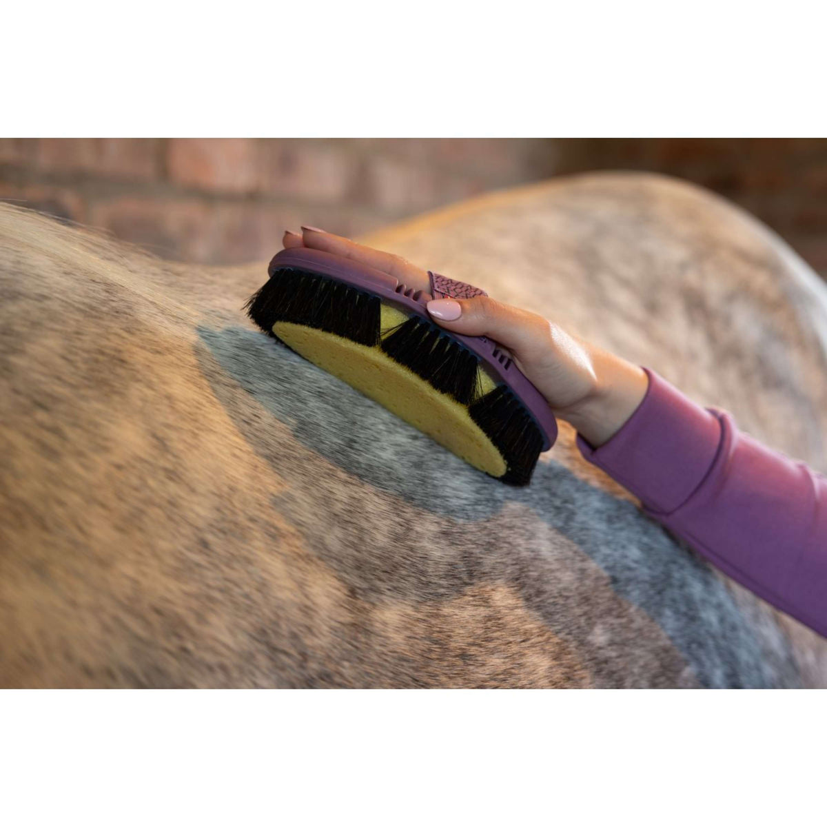 LeMieux Bürste mit Schwamm Flex Powder Blue