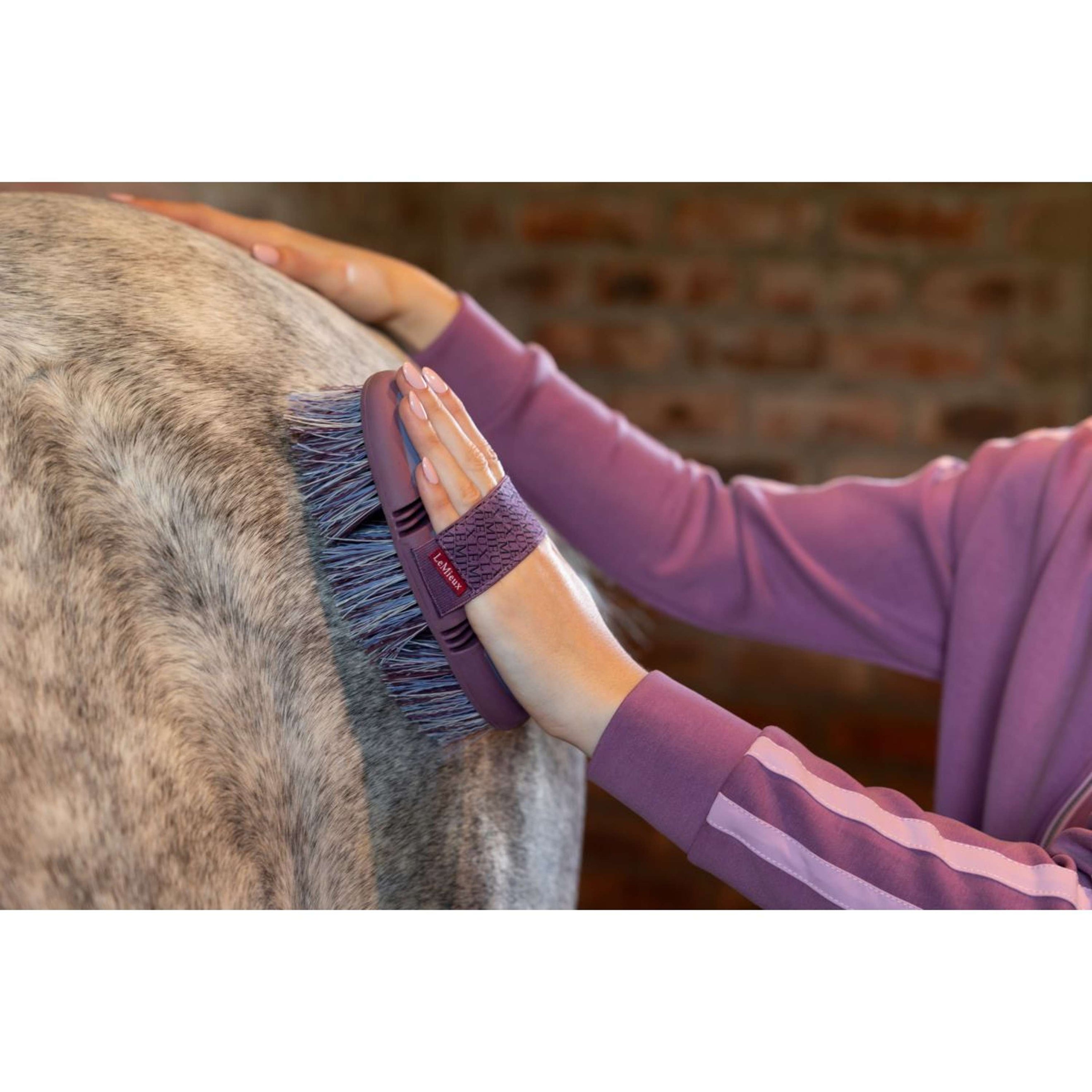 LeMieux Bürste Flexi Flicky Powder Blue LeMieux Bürste Flexi Flicky Powder Blue