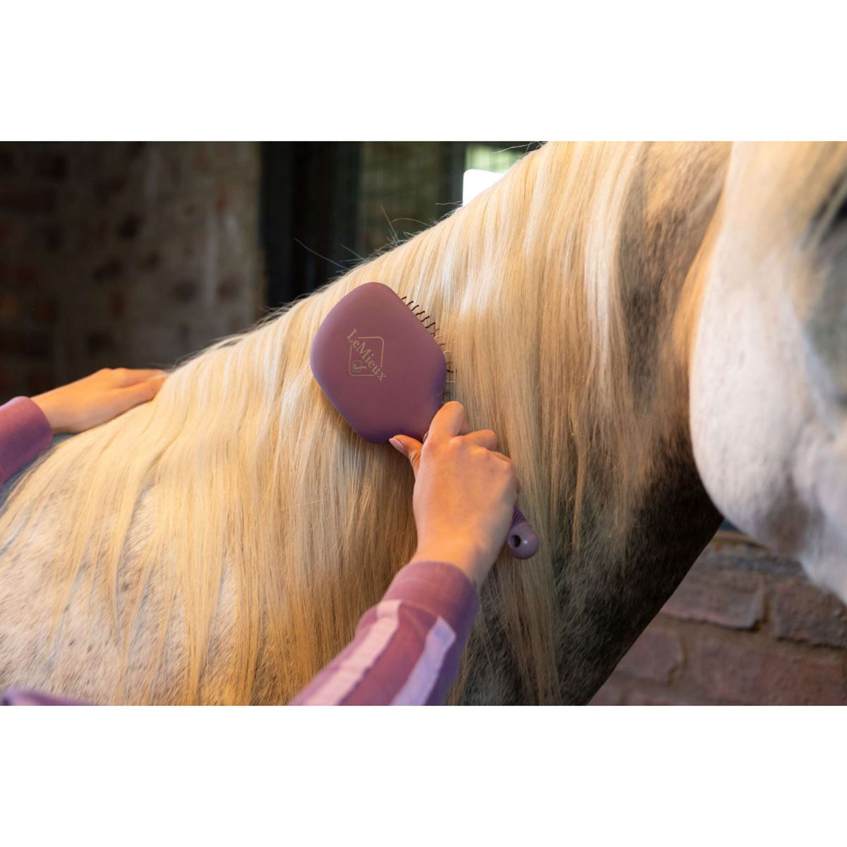 LeMieux Mähnen- und Schweifbürste Tangle Tidy Mallow