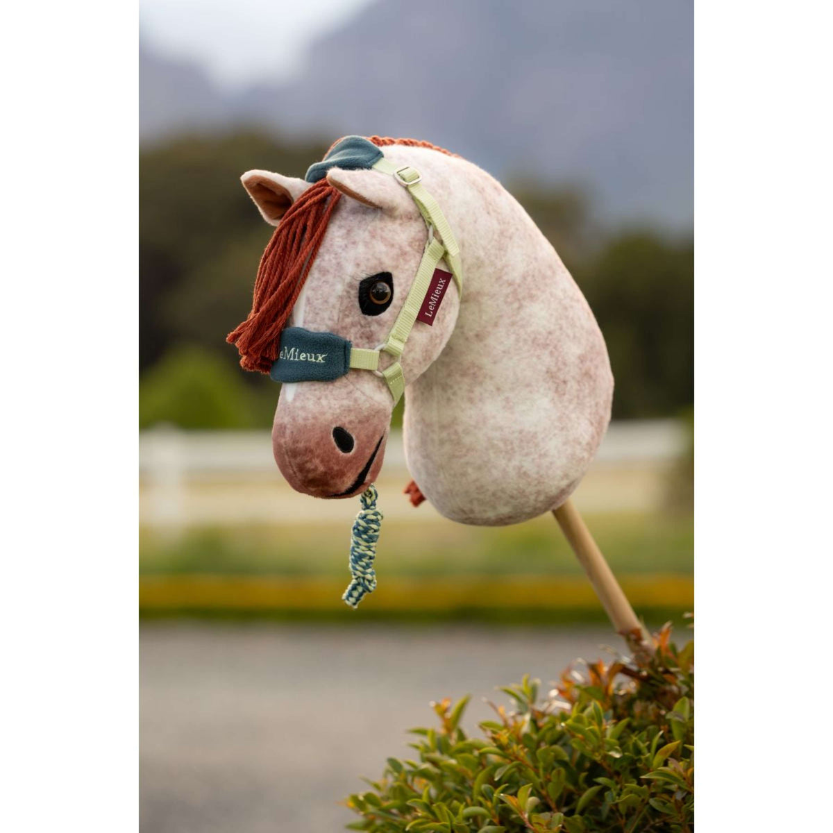 LeMieux Hobby Horse Vogue Halfter Macaron