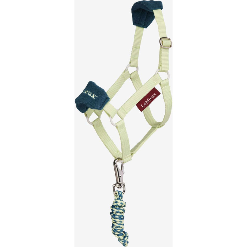 LeMieux Hobby Horse Vogue Halfter Macaron LeMieux Hobby Horse Vogue Halfter Macaron