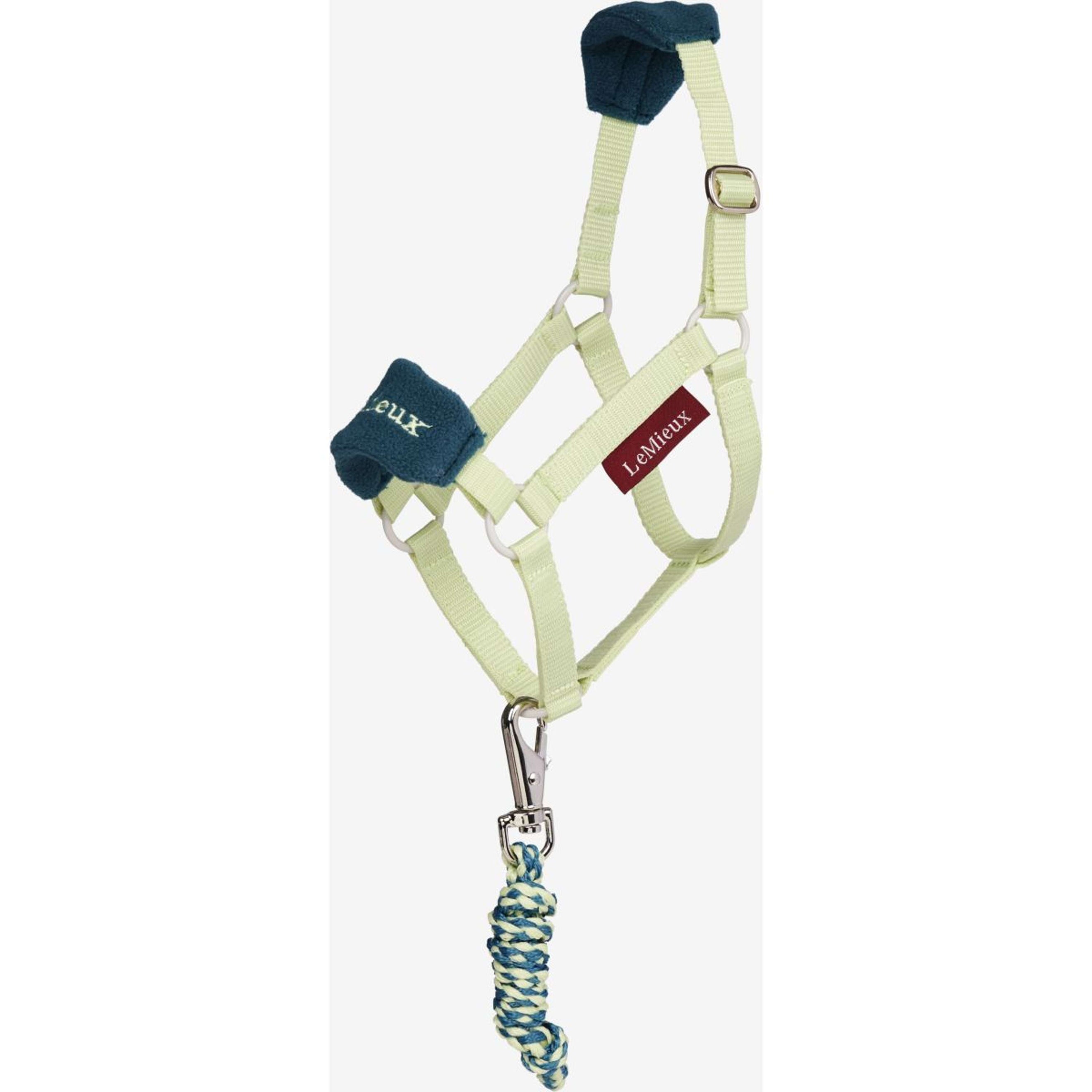 LeMieux Hobby Horse Vogue Halfter Macaron