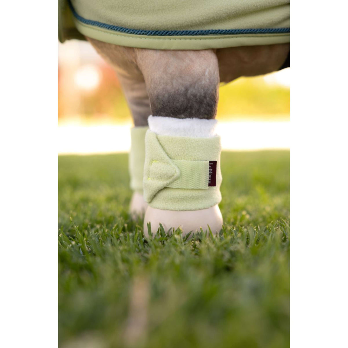 LeMieux Toy Pony Bandagen Macaron