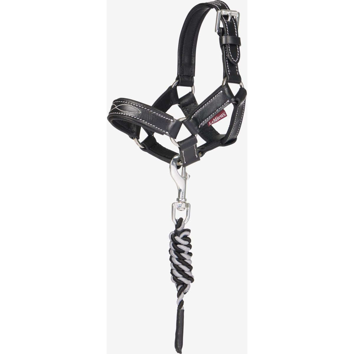LeMieux Toy Pony Halfter Schwarz
