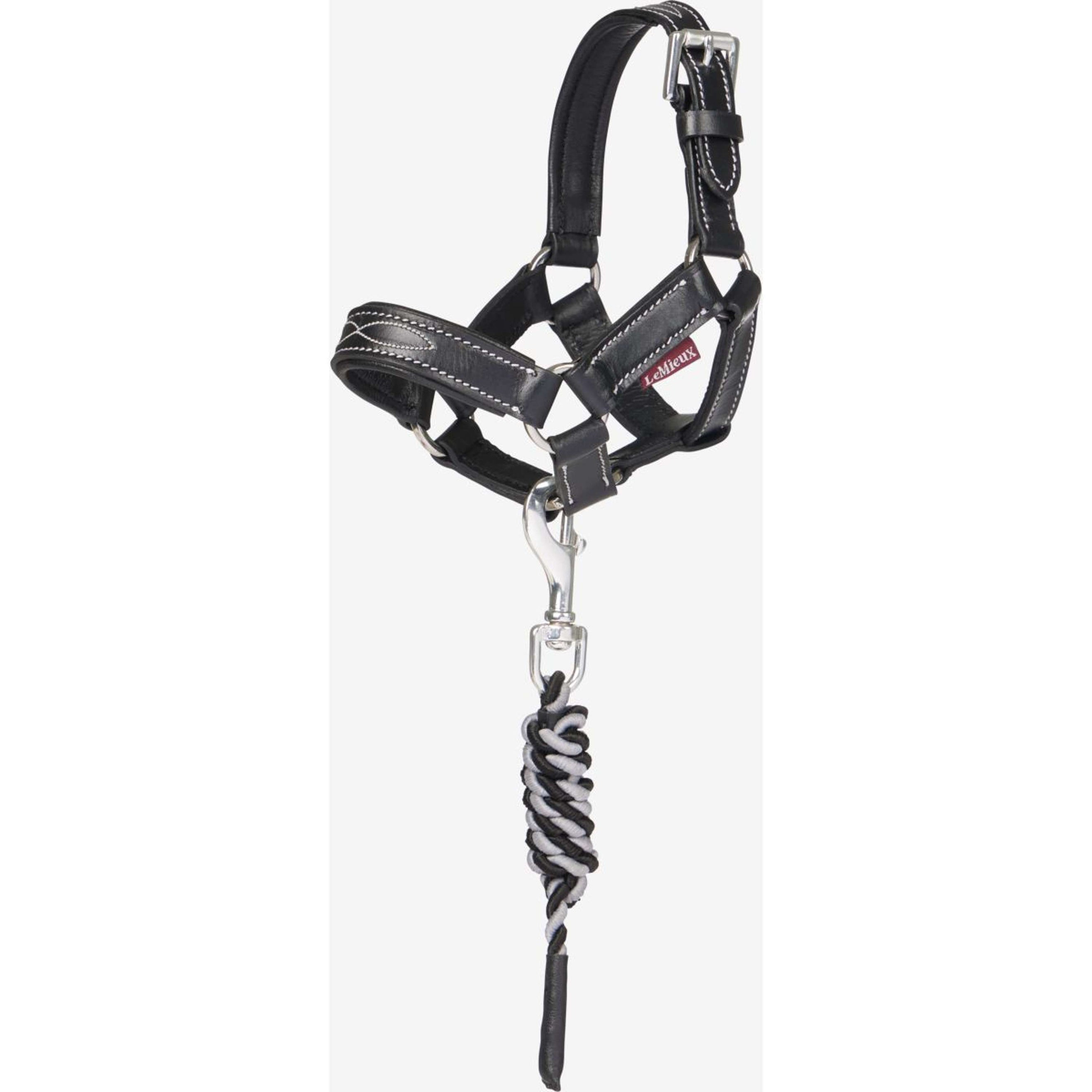 LeMieux Toy Pony Halfter Schwarz