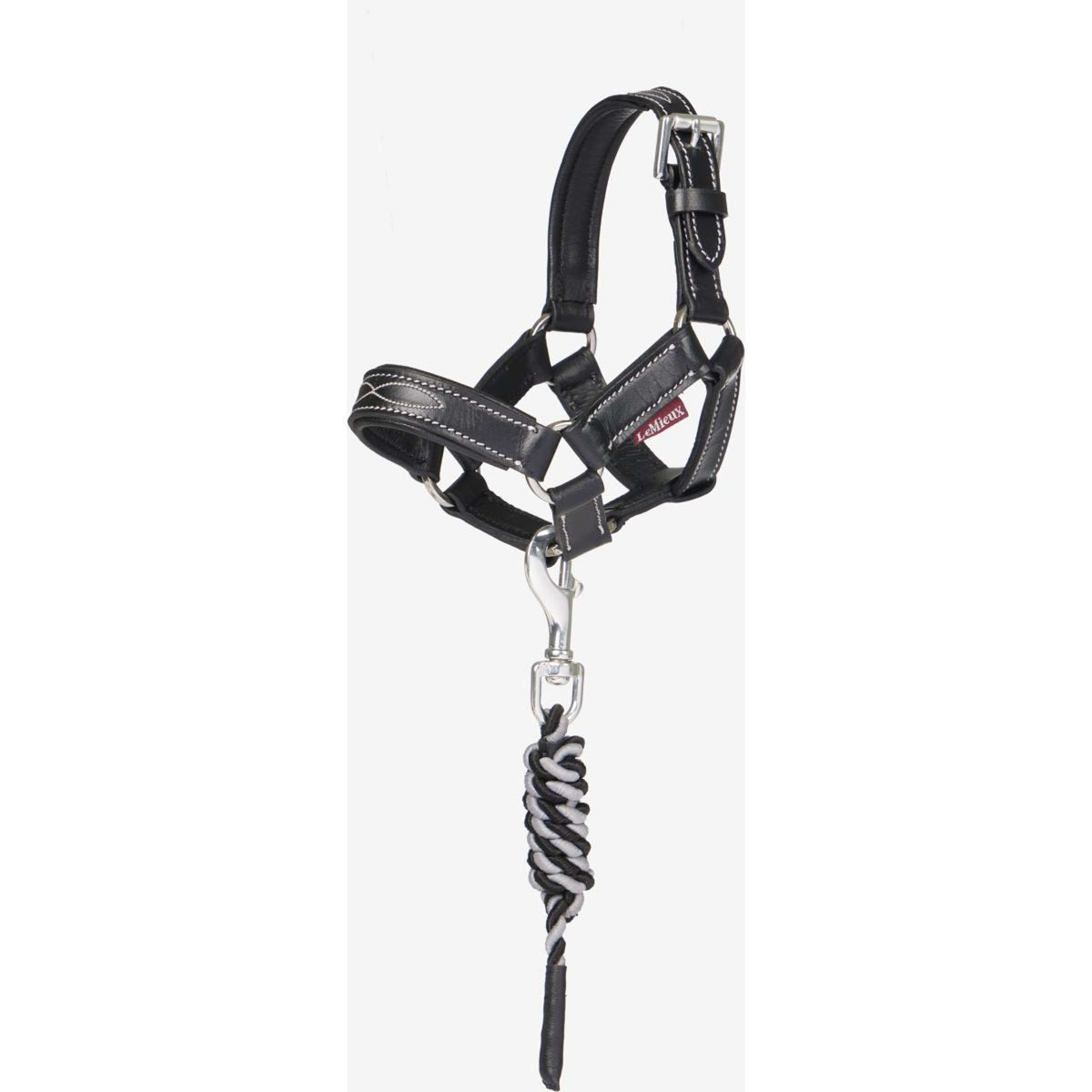 LeMieux Toy Pony Halfter Schwarz