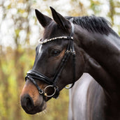 Kavalkade Zaum Zora Schwarz/Lack/Schwarz