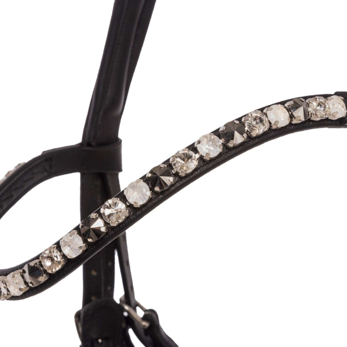 Kavalkade Zaum Zora Schwarz/Lack/Schwarz