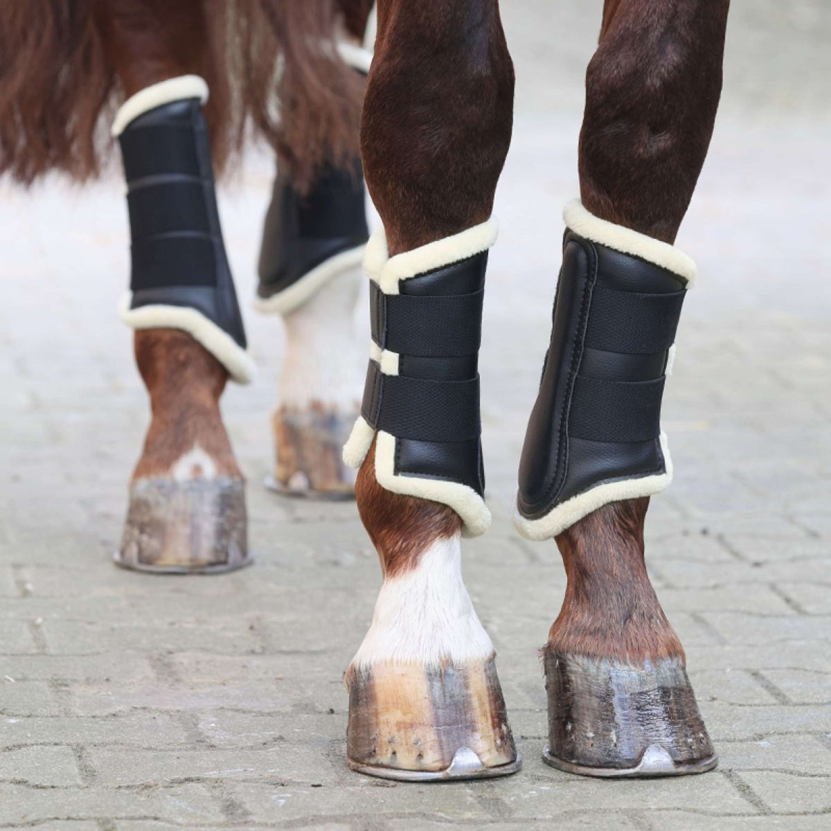 Kavalkade Dressurstiefel mit Kunstfell Schwarz