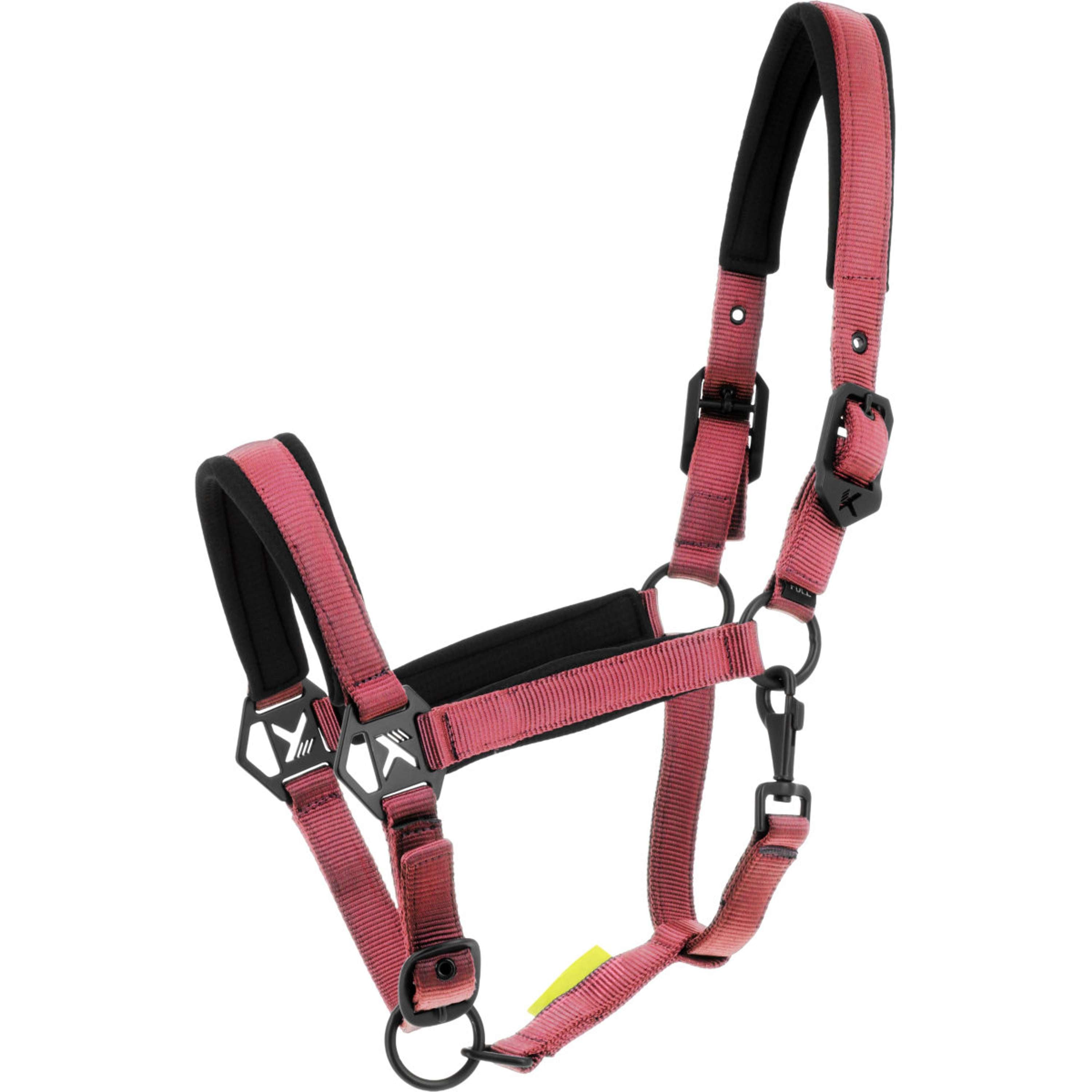 K by EQUITHÈME Halfter Triton Rosa