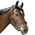 Covalliero Halfter Robustes Leder Braun