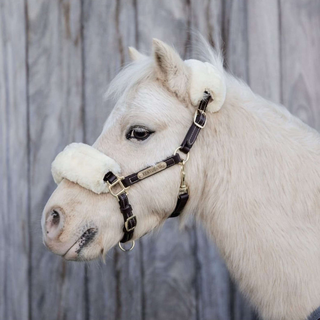 Kentucky Lederhalfter Leder mit Schaffell