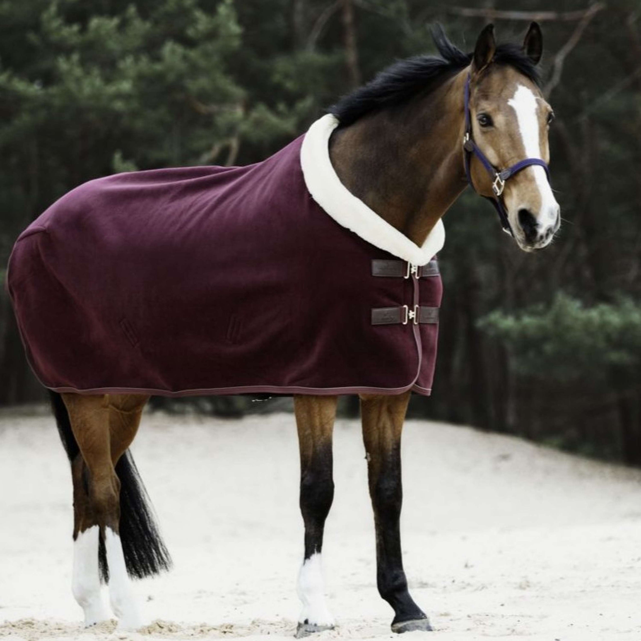 Kentucky Abschwitzdecke Show Fleece Heavy Bordeaux