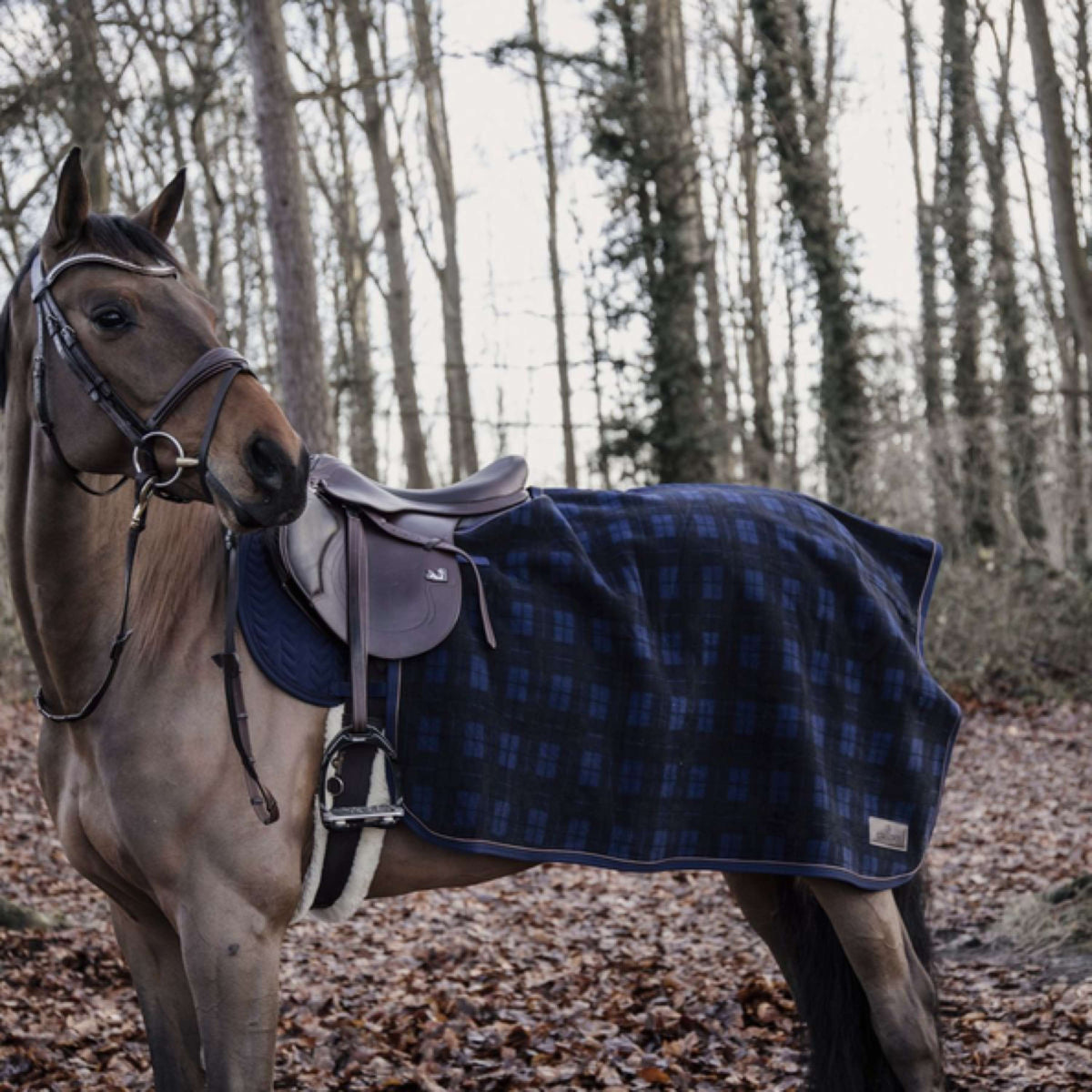 Kentucky Horsewear Ausreitdecke Quadratisch Heavy Fleece Dunkel blau