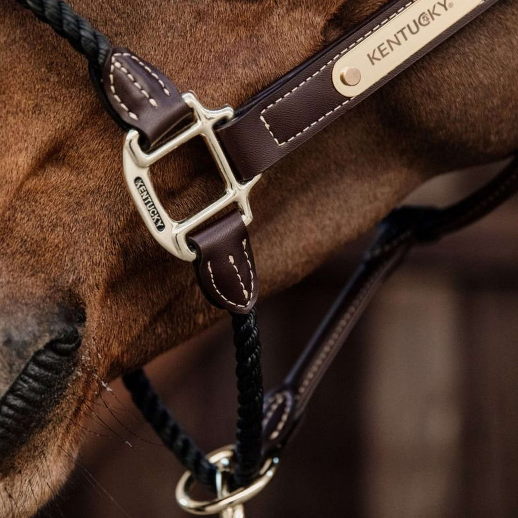 Kentucky Halfter Aus Leder und Seil Schwarz
