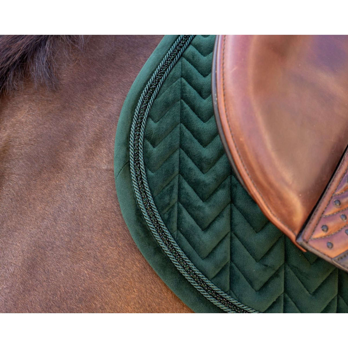 Kentucky Schabracke Velvet Mini Pearls Springen Pine Green