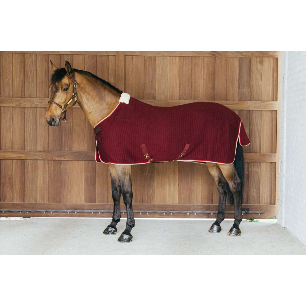 Kentucky Cooler rug PROTherm Bordeaux