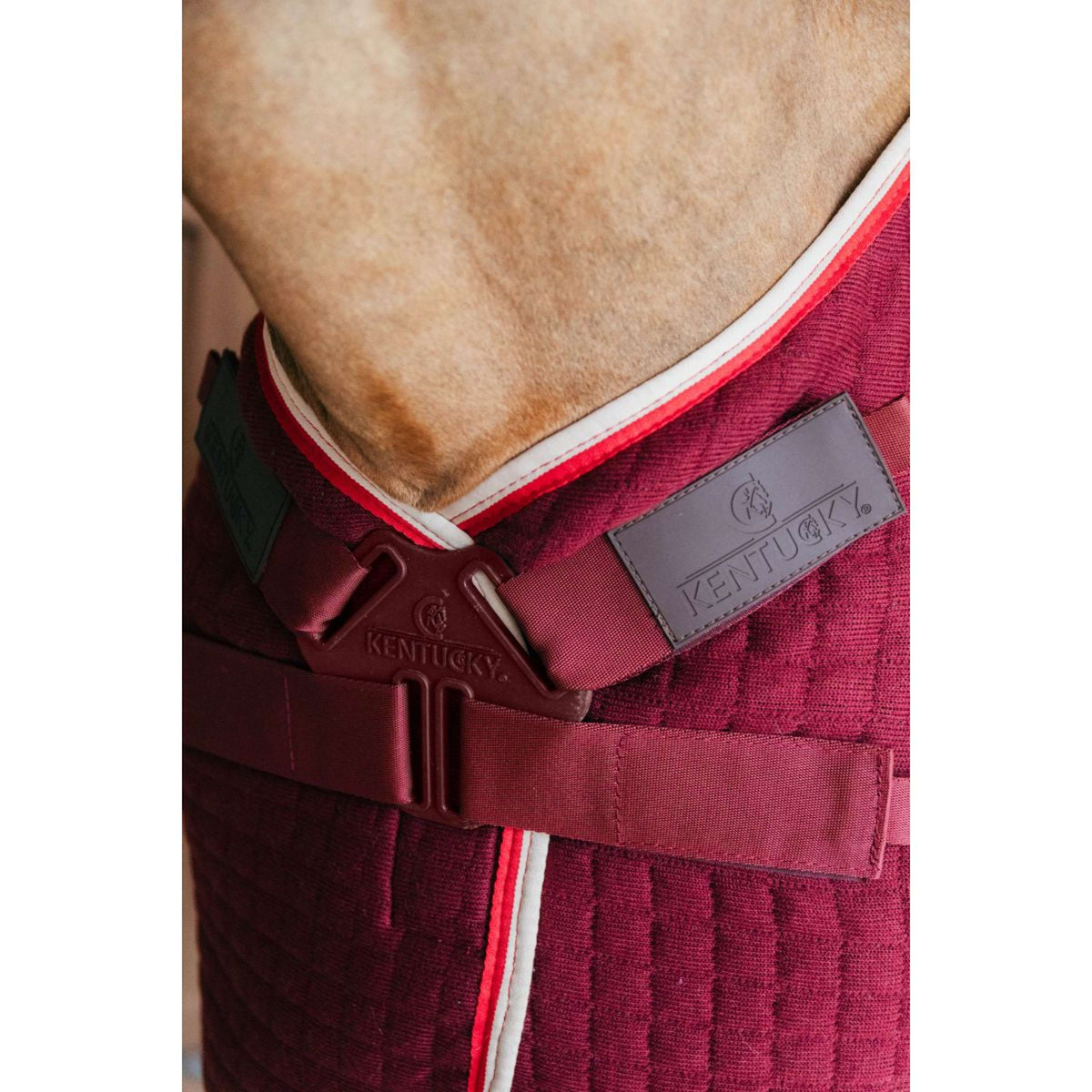 Kentucky Cooler rug PROTherm Bordeaux