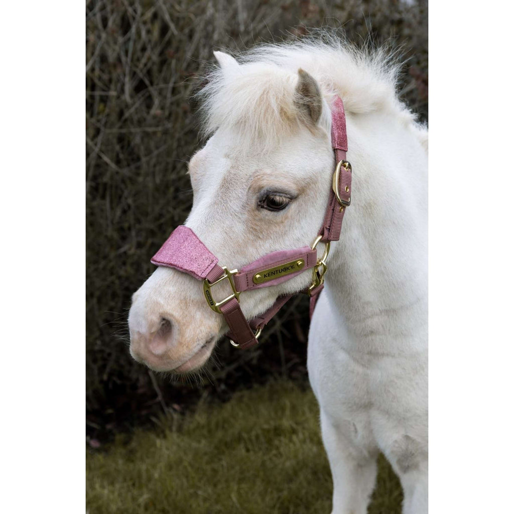 Kentucky Horsewear Halfter Velvet Glitter Unicorn Altrosa