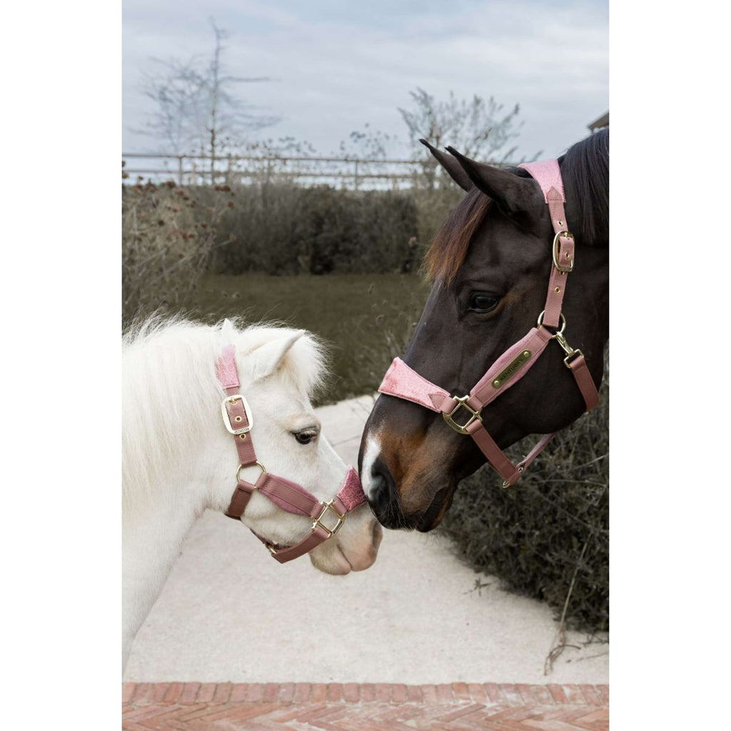 Kentucky Horsewear Halfter Velvet Glitter Unicorn Altrosa