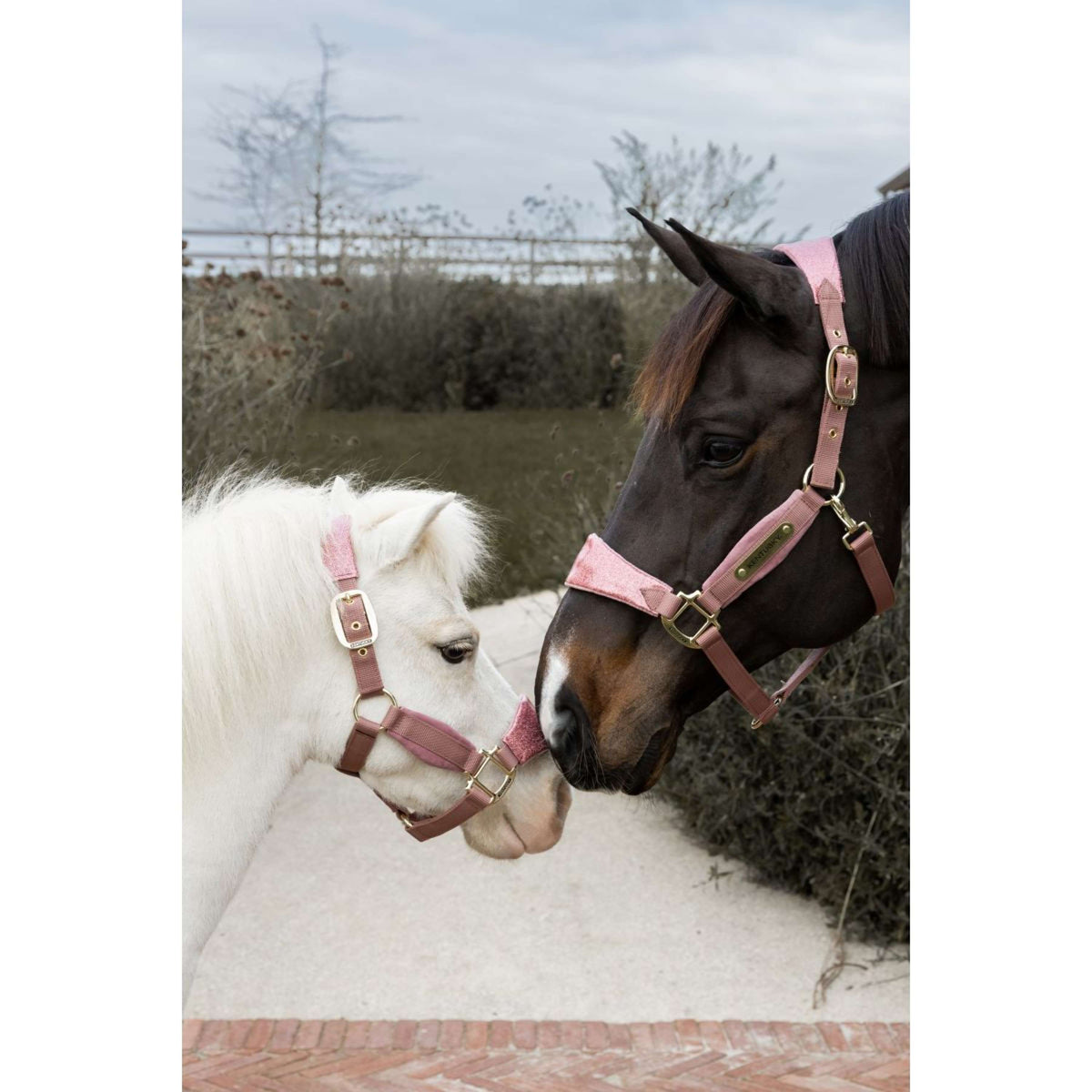 Kentucky Horsewear Halfter Velvet Glitter Unicorn Altrosa