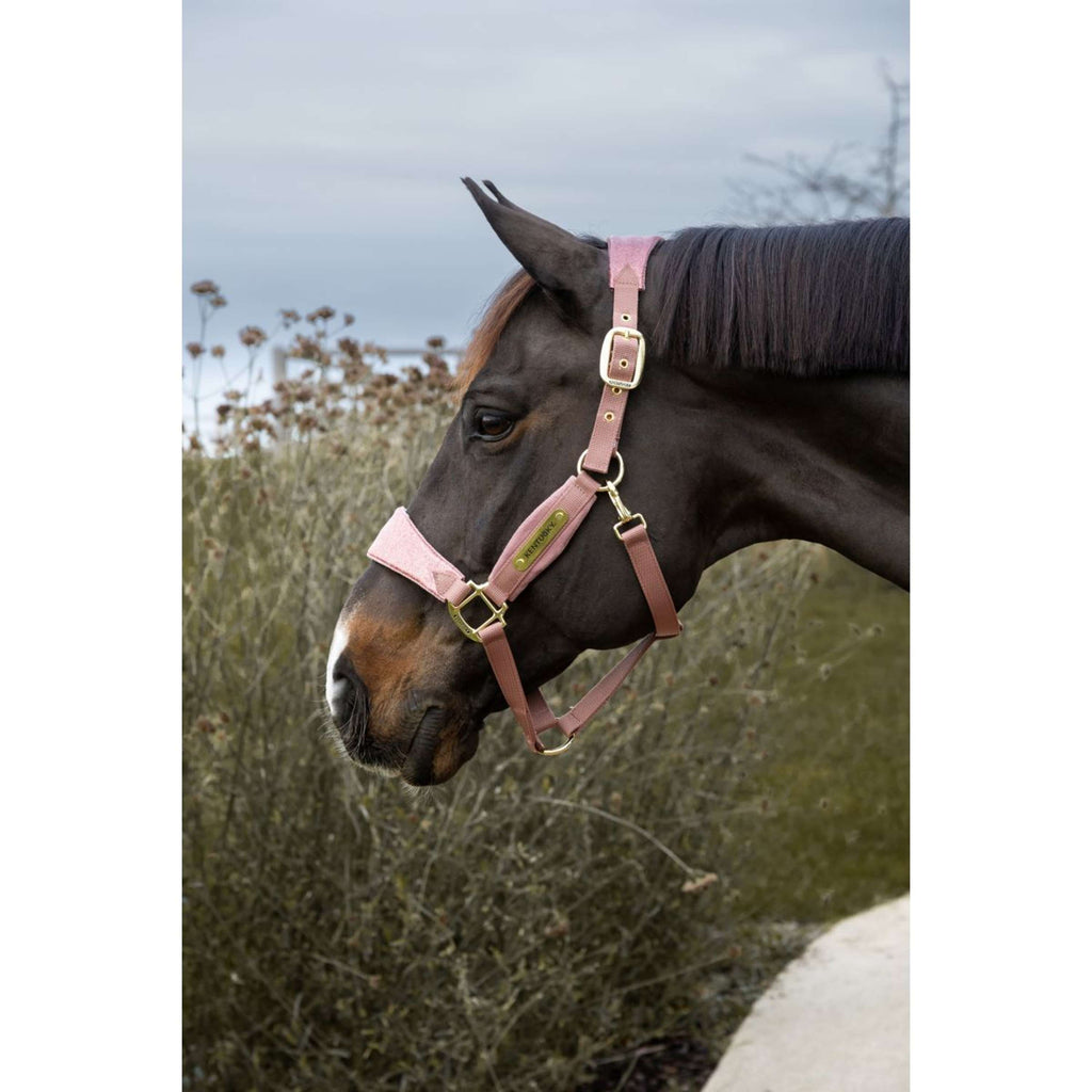Kentucky Horsewear Halfter Velvet Glitter Unicorn Altrosa
