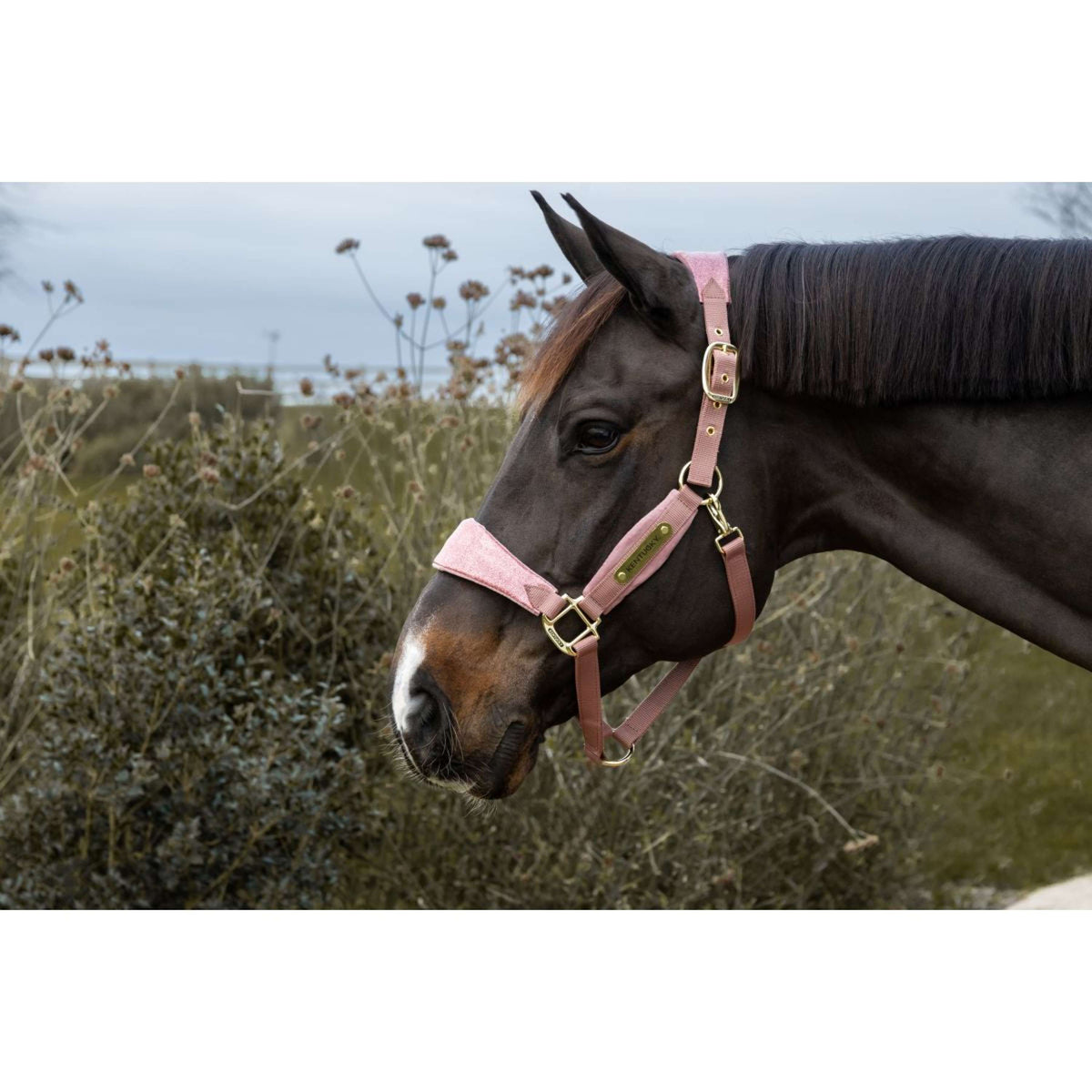 Kentucky Horsewear Halfter Velvet Glitter Unicorn Altrosa