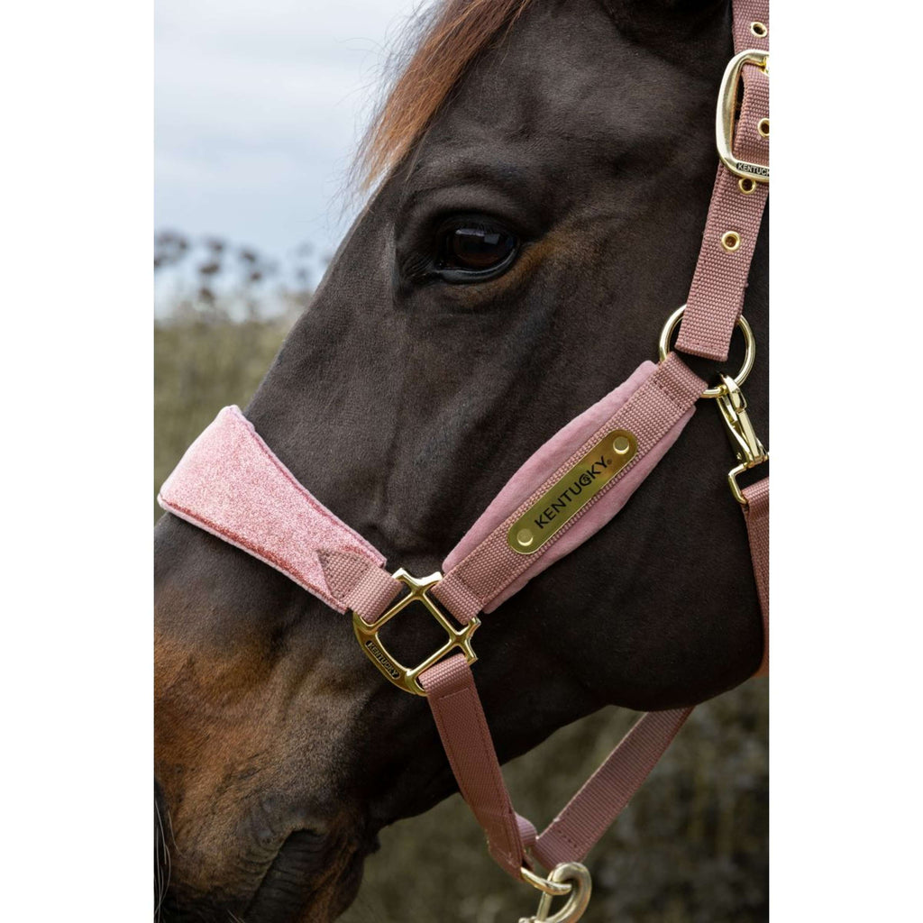 Kentucky Horsewear Halfter Velvet Glitter Unicorn Altrosa