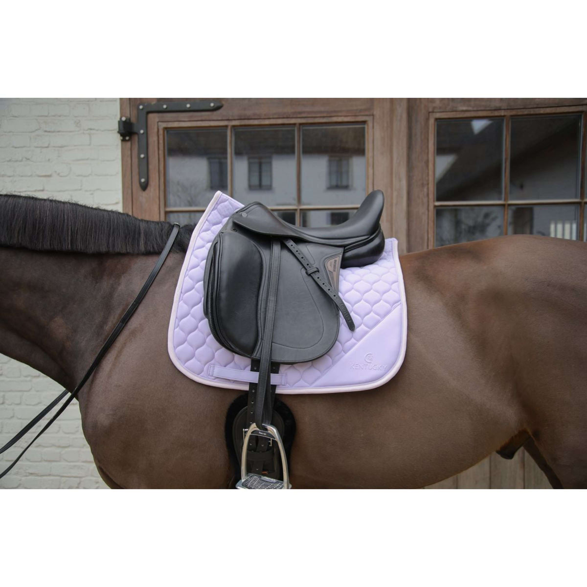 Kentucky Horsewear Schabracke Softshell Onion Quilt Dressur Hellviolett/Hellrosa