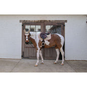 Kentucky Horsewear Schabracke Softshell Onion Quilt Springen Beige/Altrosa