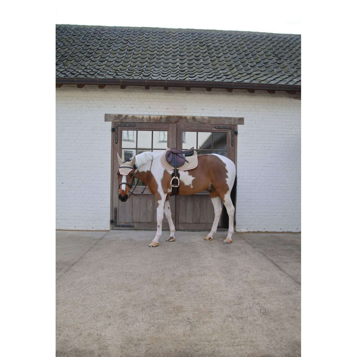 Kentucky Horsewear Schabracke Softshell Onion Quilt Springen Beige/Altrosa