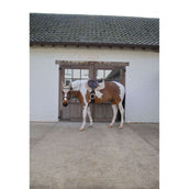 Kentucky Horsewear Schabracke Softshell Onion Quilt Springen Beige/Altrosa