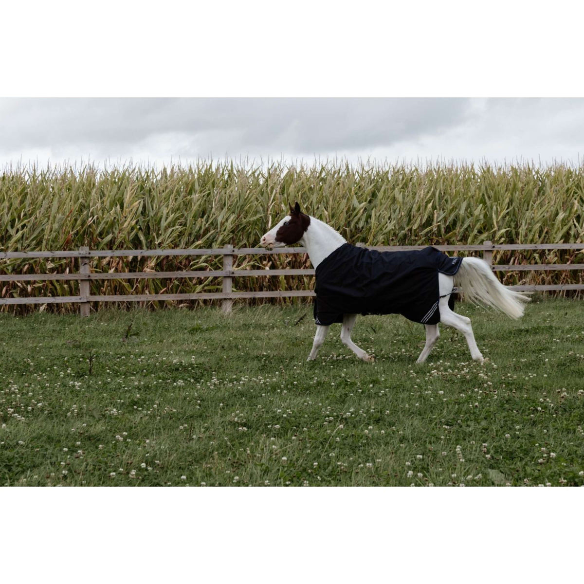 Kentucky Turnout Rug All Weather Comfort Waterproof 100g Schwarz