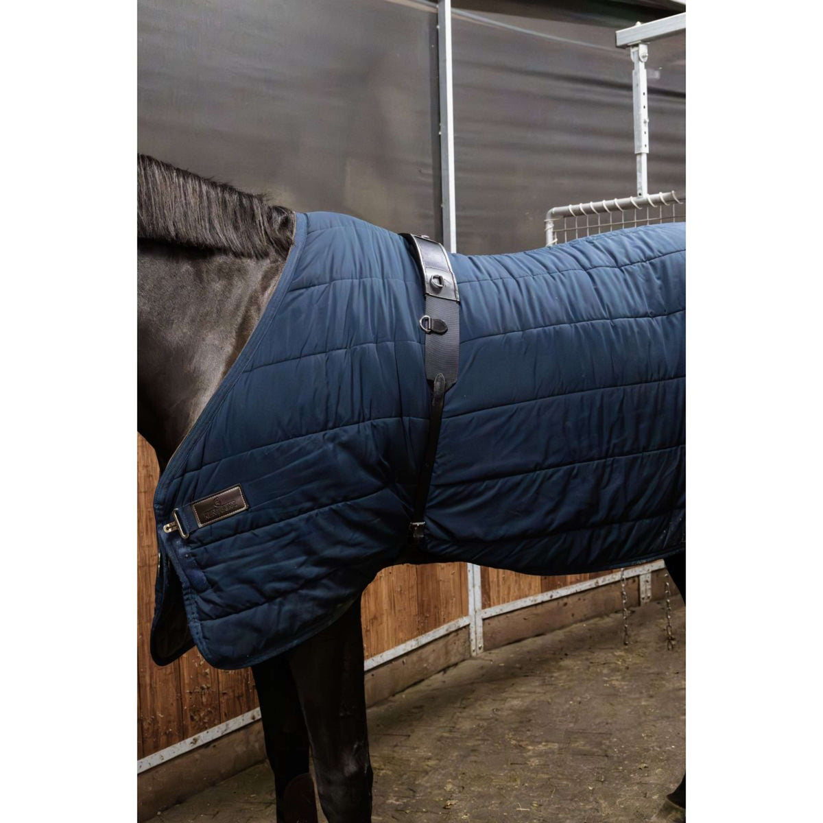 Kentucky Horsewear Longiergurt Nylon Schwarz